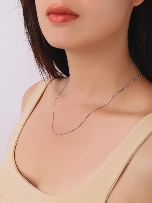 Stainless Steel Snake Chain Necklace, Jewelry Gift for Men and Women