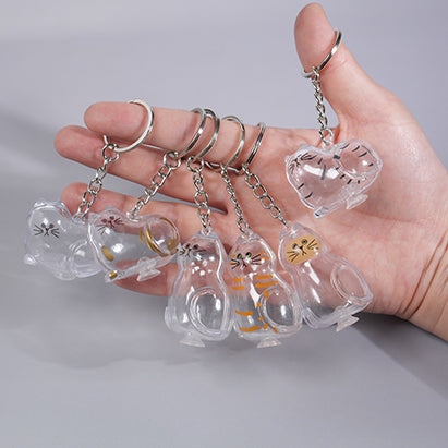 6 Pcs Cat Hair Keepsake Keychains – 2025 New Memorial Capsule Pendants, Fur Holder Bottles for Cat Lovers, Thoughtful Pet Loss or Birthday Gifts