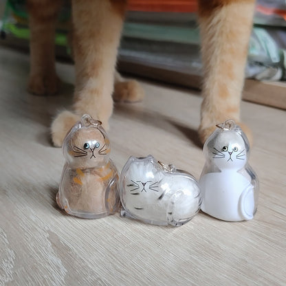 6 Pcs Cat Hair Keepsake Keychains – 2025 New Memorial Capsule Pendants, Fur Holder Bottles for Cat Lovers, Thoughtful Pet Loss or Birthday Gifts
