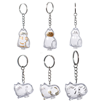 6 Pcs Cat Hair Keepsake Keychains – 2025 New Memorial Capsule Pendants, Fur Holder Bottles for Cat Lovers, Thoughtful Pet Loss or Birthday Gifts