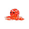 Red-Octopus