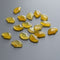 Ginkgo-Yellow