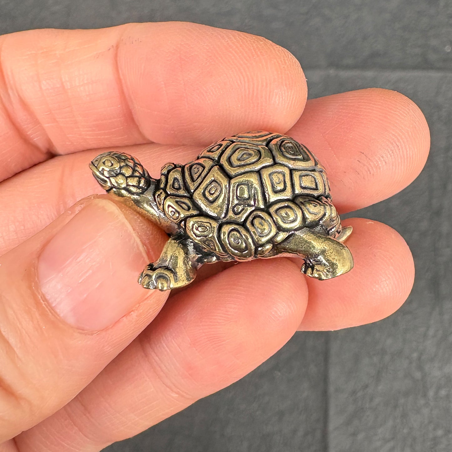 2PCS Vintage Brass Longevity Turtle Figurines, Feng Shui Tortoise Decor, Good Luck and Prosperity Symbol