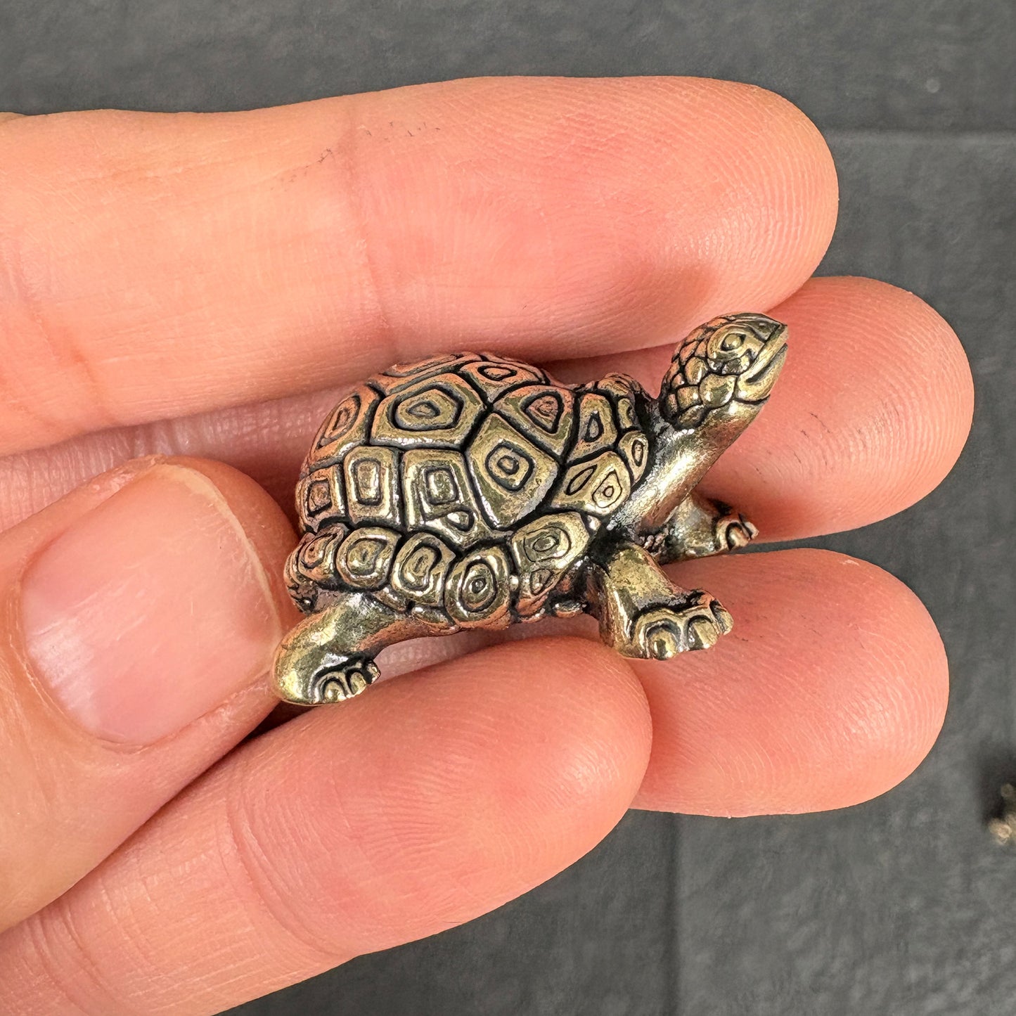 2PCS Vintage Brass Longevity Turtle Figurines, Feng Shui Tortoise Decor, Good Luck and Prosperity Symbol