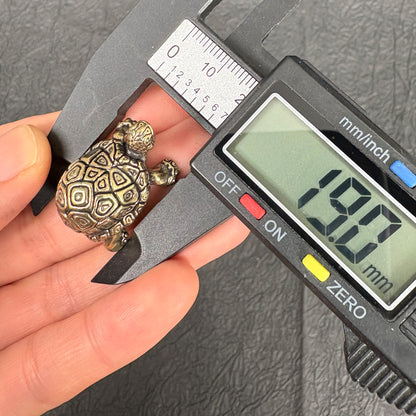 2PCS Vintage Brass Longevity Turtle Figurines, Feng Shui Tortoise Decor, Good Luck and Prosperity Symbol